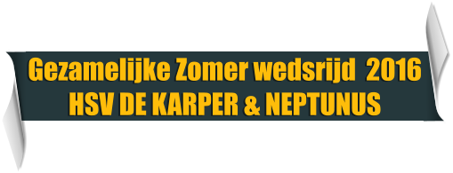 Gezamelijke Zomer wedsrijd  2016 HSV DE KARPER & NEPTUNUS