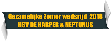 Gezamelijke Zomer wedsrijd  2018 HSV DE KARPER & NEPTUNUS